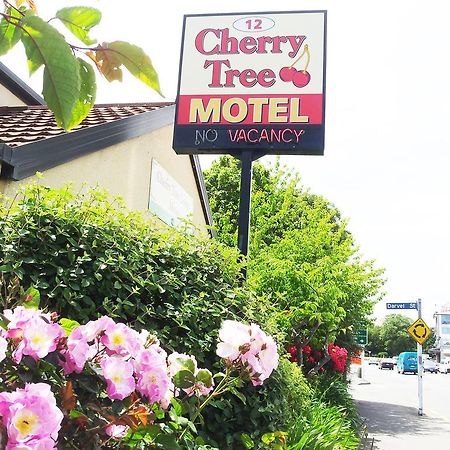 Cherry Tree Lodge Motel Крайстчерч Екстер'єр фото